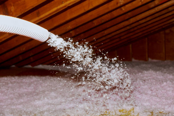 Best Insulation Maintenance and Repair in Ware Shoals, SC
